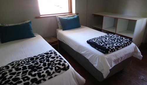 Single Bed in 6-Bed Dormitory Room