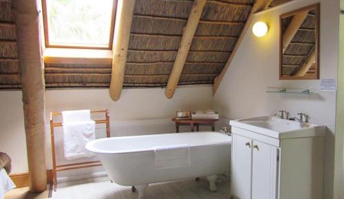 Twin/Double Room