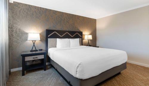 Junior King Suite with Sofa Bed and Walk-In Shower - Interior Entrance/Non-Smoking