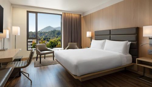 Premium Deluxe King Room with Mountain View