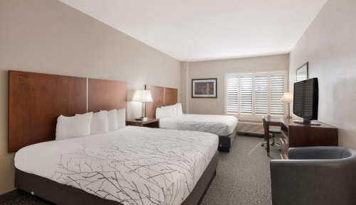 Queen Room with Two Queen Beds and Roll-In Shower - Disability Access/Non-Smoking