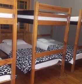 8-Bed Mixed Dormitory Room