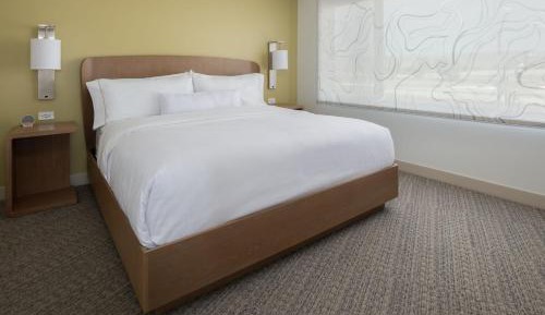 One-Bedroom King Suite with Sofa Bed 
