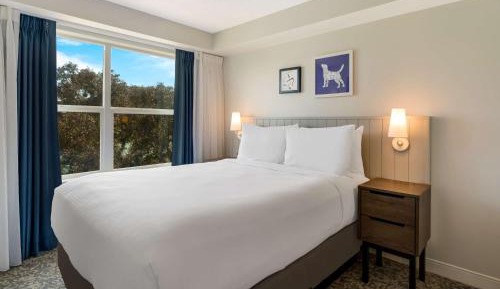 One Bedroom Suite Queen