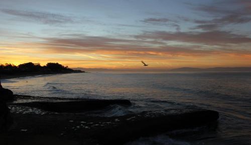 Captains Quarters (12), Ocean View King - No Pets