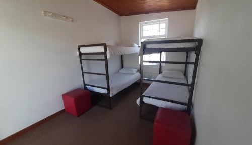 Bed in 4-Bed Mixed Dormitory Room