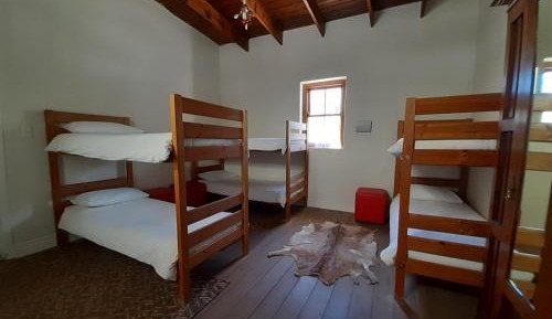 Bed in 6-Bed Mixed Dormitory Room