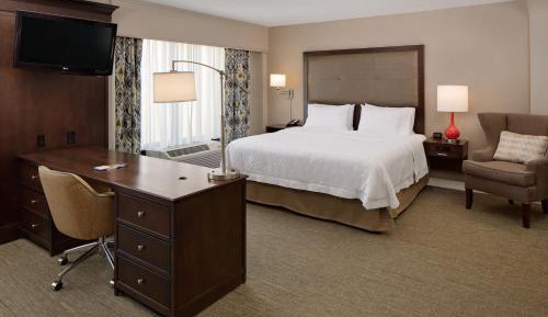 One-Bedroom Queen Suite