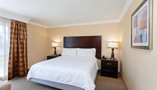 One-Bedroom King Suite