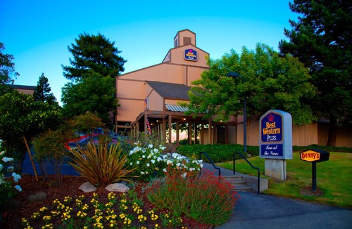 Napa Hotel | Best Western Plus Inn at the Vines