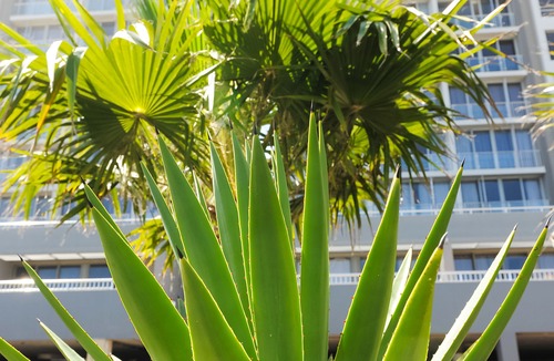Bloubergstrand Hotel | Infinity Self-Catering Apartments