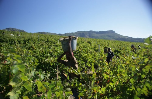 Cape Winelands Hotel | Boschendal Farm Estate
