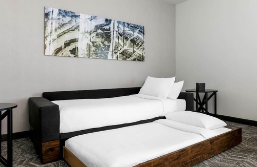 Fremont Hotel | SpringHill Suites by Marriott San Jose Fremont