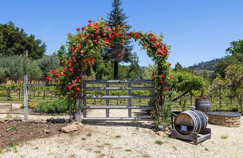 Santa Rosa House | Private Wine Country Oasis On 2 Acres w/Pool, Spa, Creek & Vineyard