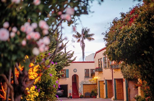 Marina District Hotel | Marina Motel