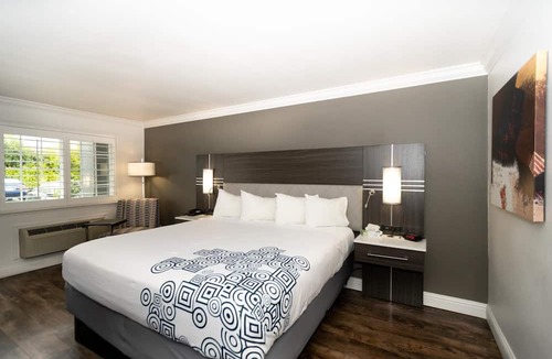 East San Jose Hotel | Rodeway Inn San Jose HWY-101 Tully Rd Exit