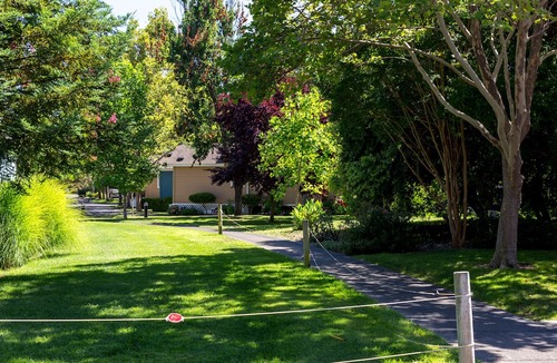 Napa Hotel | Relaxation in Napa Valley! 2 Spacious Units, Swimming Pool, Free Parking!