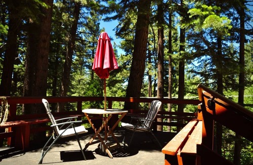 South Lake Tahoe House | Close To Everything, but Away From It All! Pet Friendly Paradise Forest Back