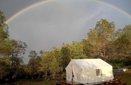 Geyserville Other | Peaceful Canvas Tent with Firepit & Outdoor BBQ in Geyserville, California