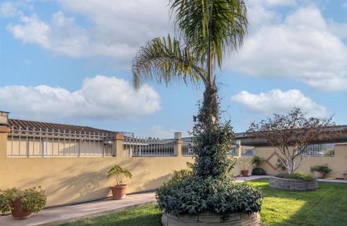 San Rafael Hotel | SureStay Hotel by Best Western San Rafael