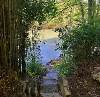 Healdsburg House | Serene Riverfront Cottage In Healdsburg Views Kayaks 1 5 Mile To Downtown