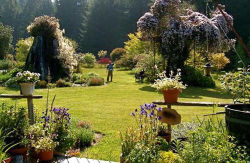 Albion House | Rural Vacation Cottage near the Coast and the Town of Albion in Northern California