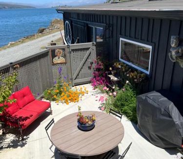 McDonald House | Waterfront Carriage House on Tomales Bay with Dock