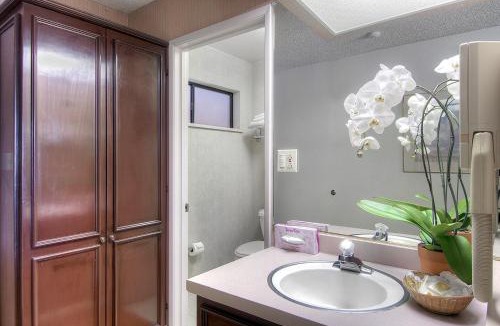 North Whisman Hotel | Days Inn & Suites by Wyndham Mountain View