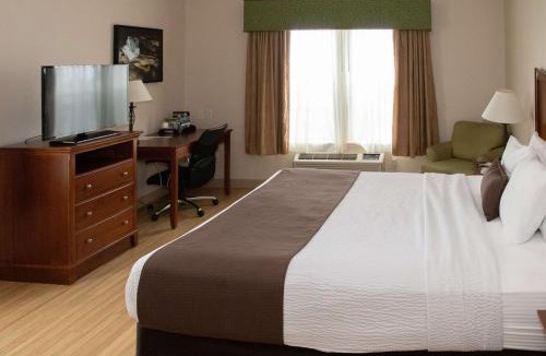 Lodi Hotel | Best Western I-5 Inn & Suites