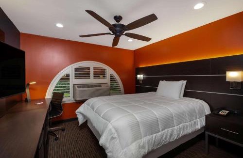 Healdsburg Hotel | Hotel Vinea Healdsburg