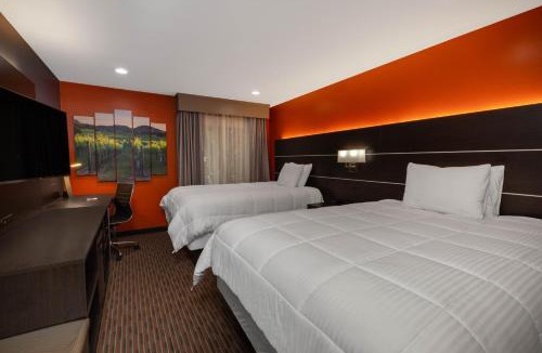 Healdsburg Hotel | Hotel Vinea Healdsburg