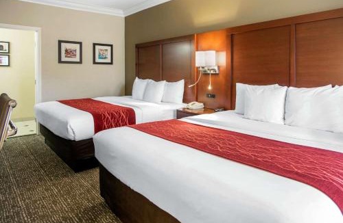 The East Side Hotel | Comfort Inn & Suites San Francisco Airport North