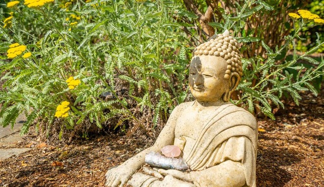 Sonoma Monthly Wine Country Cottage - Great Remote Work Listing!
