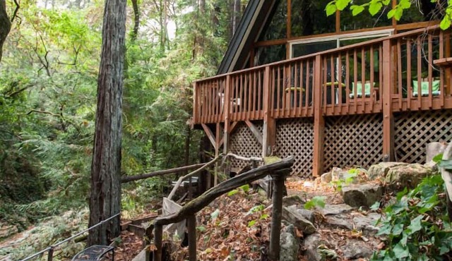 Cottage on the Creek/Nestled Under the Redwoods