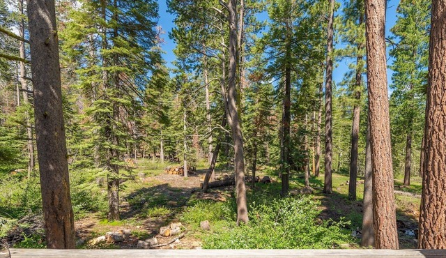 Hot Tub, Secluded West Shore Cabin! Pets OK! in Tahoma