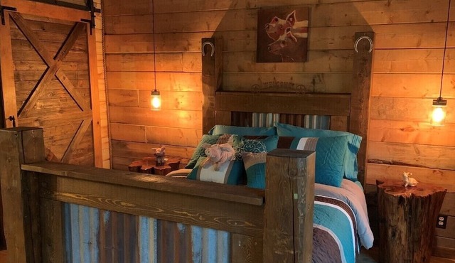 Willow's Cabin - Cozy Cabin Nestled In The Woods in Gilmer