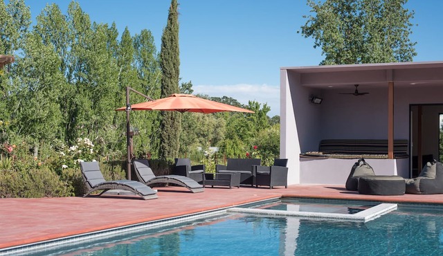 Vineyard Barndo- 4 beds, POOL, TENNIS COURT, POND, GIANT CHESS & CHICKENS.