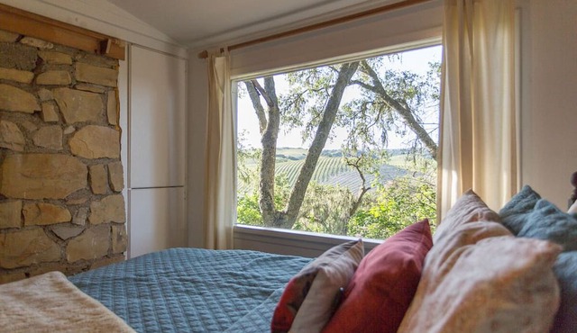 Coach House Cottage in heart of wine region with vineyard views in Templeton