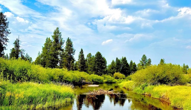 Relaxing 1 bedroom, Sunriver Beaver Hut bordering the river with direct access! in Bend