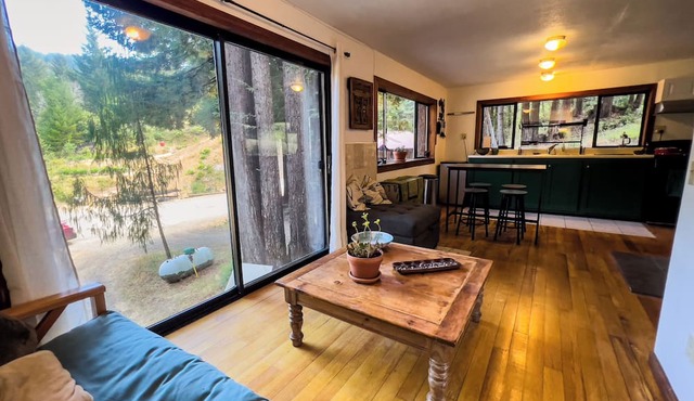 Little House in the Redwoods with hot tub! in Garberville
