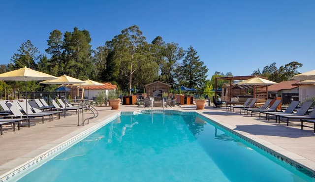 Forest Retreat: Spacious Room with Private Patio | Stunning Views
