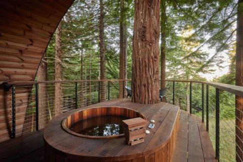 ~* The Spectacular Spyglass Treehouse *~