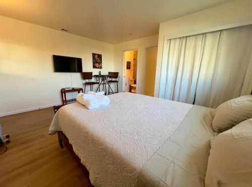 Charming studio one mile from beach