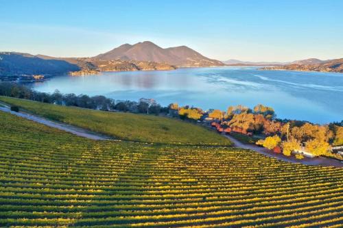 Vineyard Setting With 180 Panoramic Lake Views