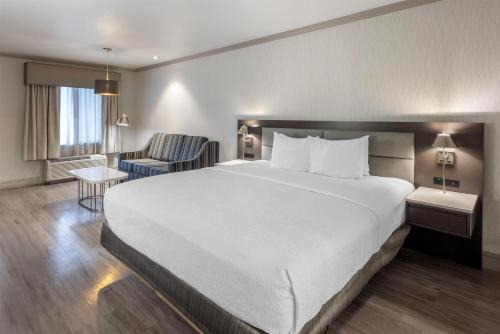 Best Western Plus Executive Suites